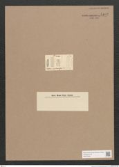 Diatomeae indet. Zeichnungen Sammlung Grunow Nr. 5102 (NHMW-BOT-W0373383)